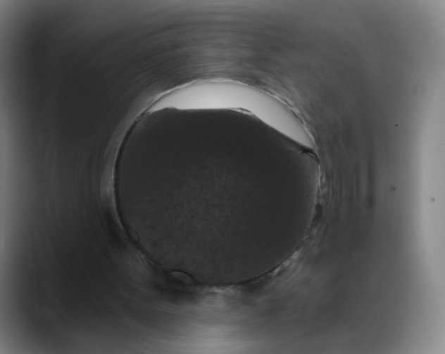 X0000088690099200706141419