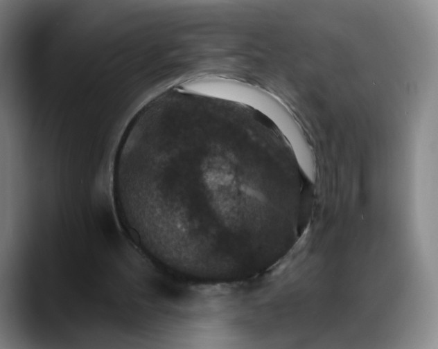 X0000088690100200706141419