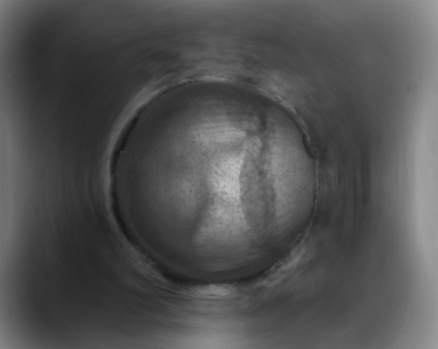 X0000088690102200706141419