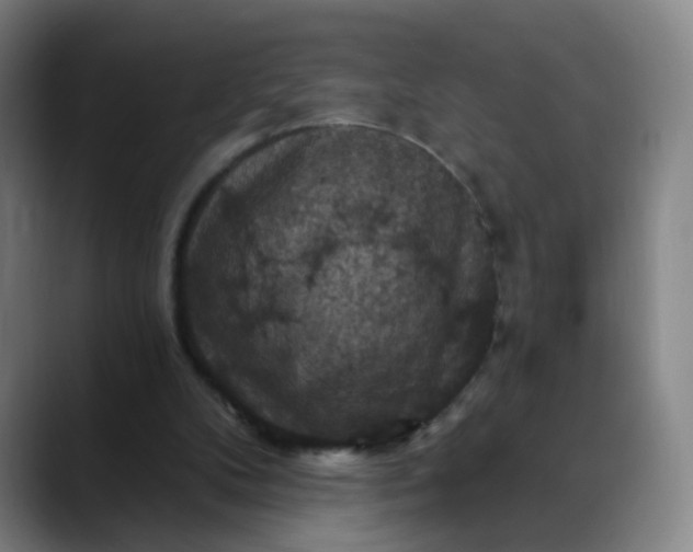 X0000088690104200706141419