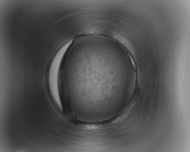 X0000088690105200706141419