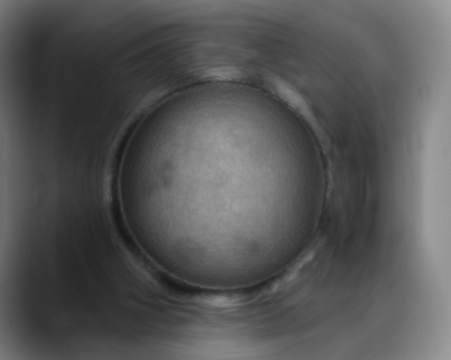 X0000088690106200706141419