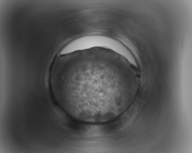 X0000088690107200706141419