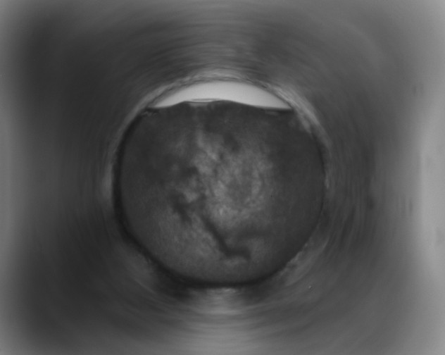 X0000088690108200706141419