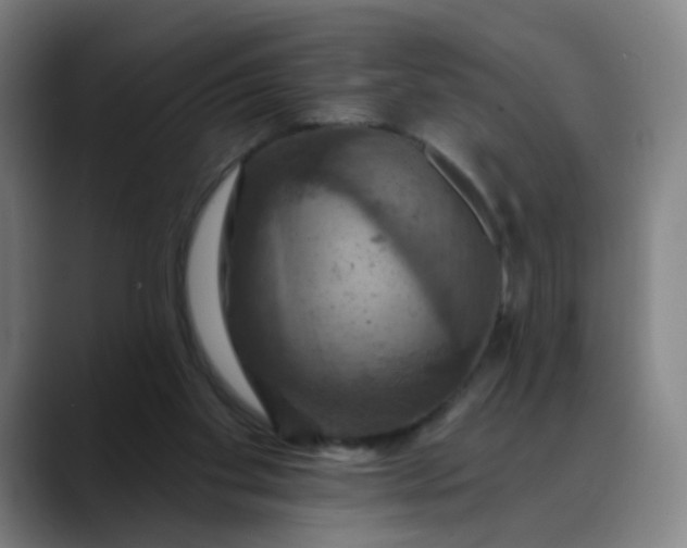 X0000088690109200706141419