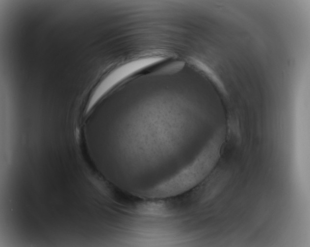 X0000088690110200706141419
