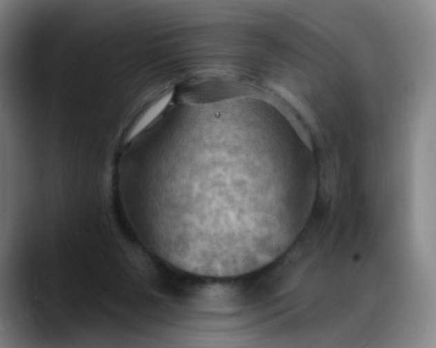 X0000088690111200706141419