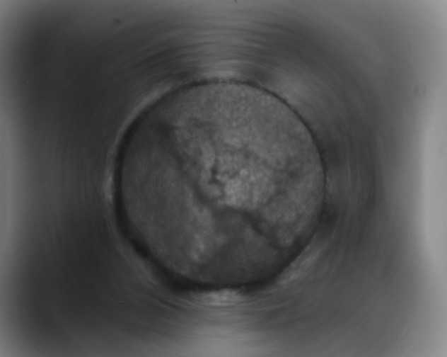 X0000088690112200706141419