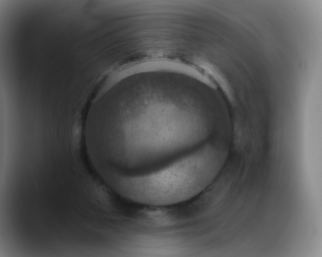 X0000088690113200706141419
