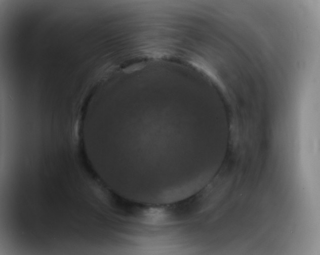 X0000088690114200706141419