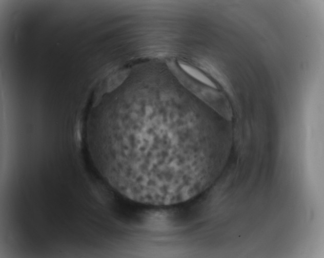 X0000088690115200706141419