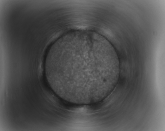 X0000088690116200706141419
