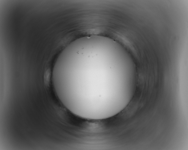 X0000088690118200706141419