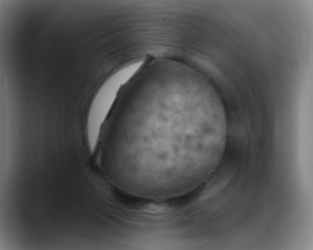 X0000088690119200706141419