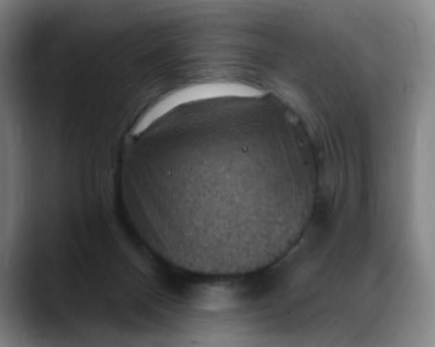 X0000088690120200706141419