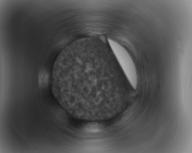 X0000088690123200706141419