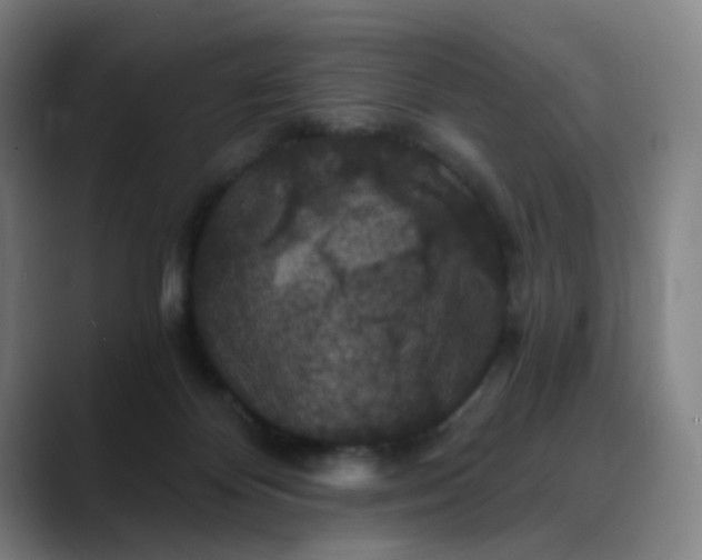 X0000088690124200706141419