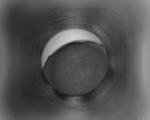 X0000088690125200706141419