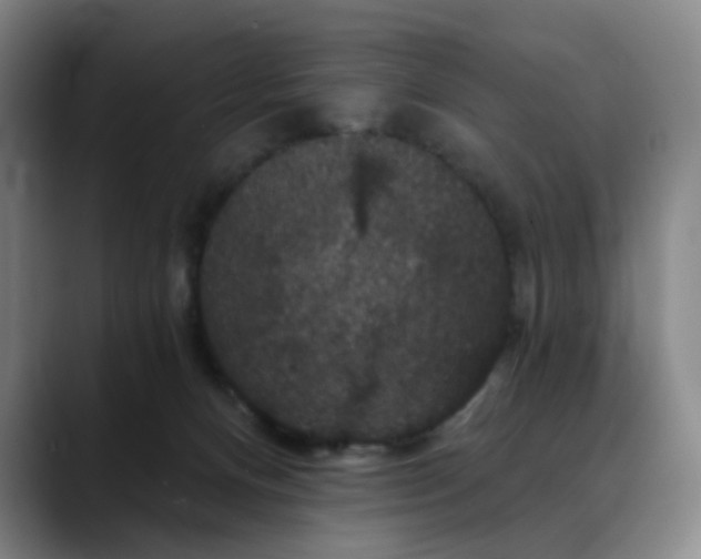 X0000088690128200706141419