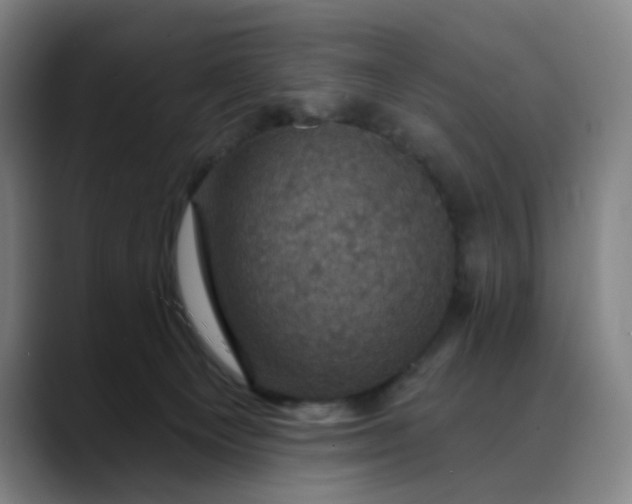X0000088690129200706141419