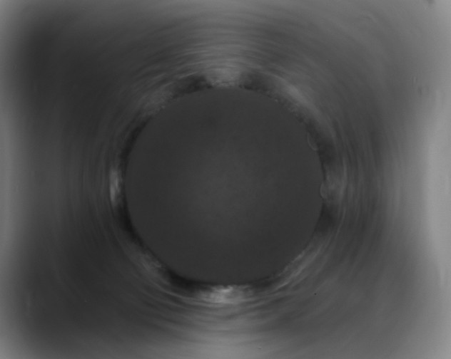 X0000088690130200706141419