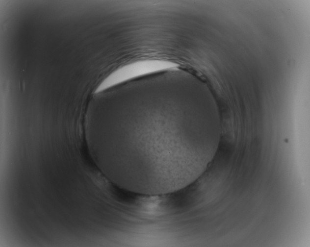 X0000088690131200706141419