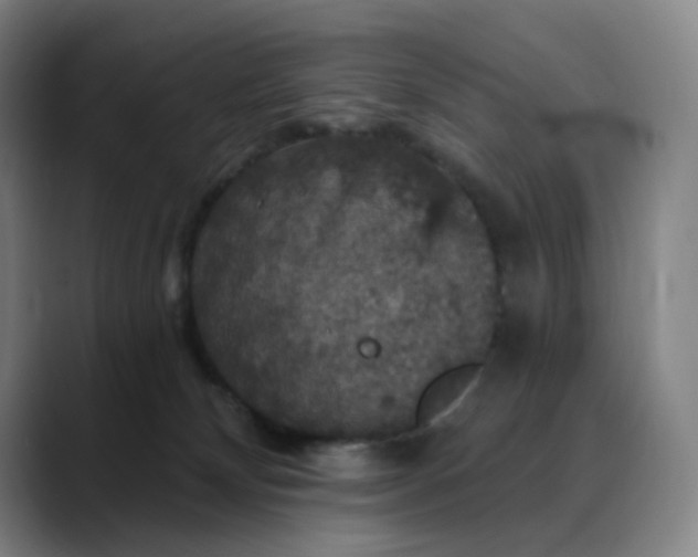 X0000088690132200706141419