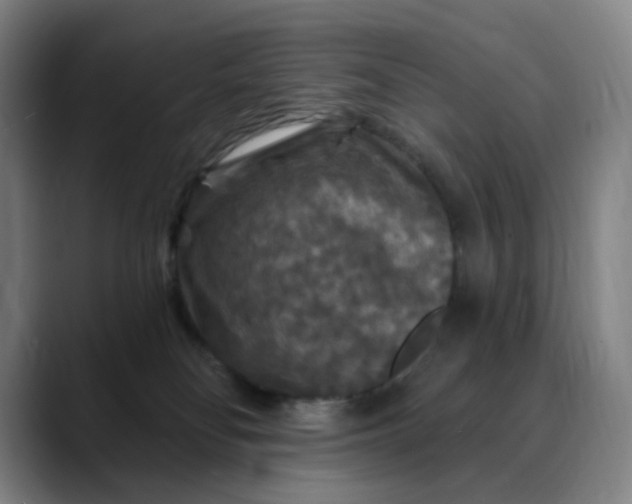 X0000088690134200706141419