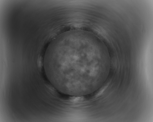 X0000088690135200706141419
