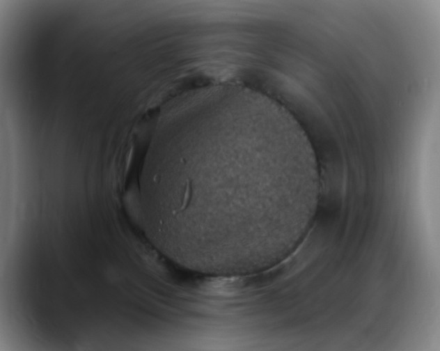 X0000088690136200706141419