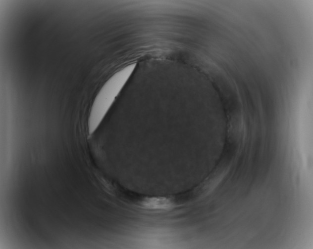 X0000088690137200706141419