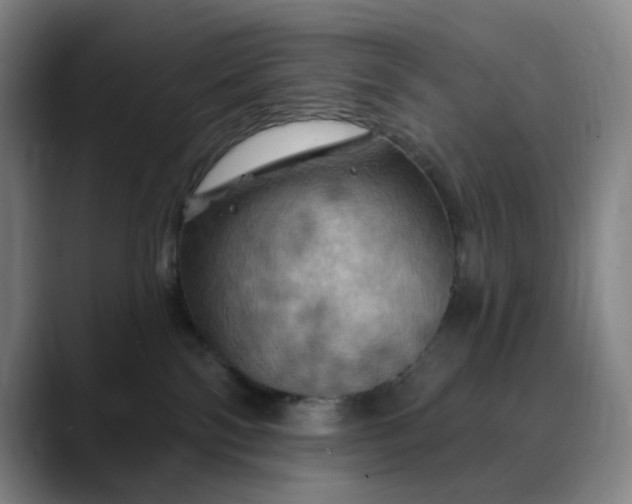 X0000088690138200706141419