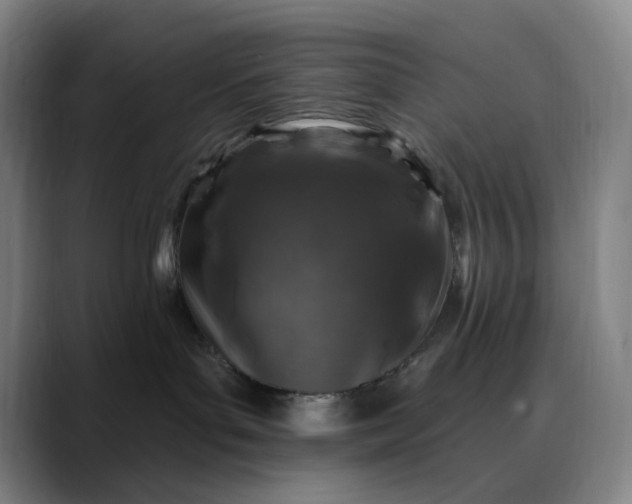 X0000088690143200706141419