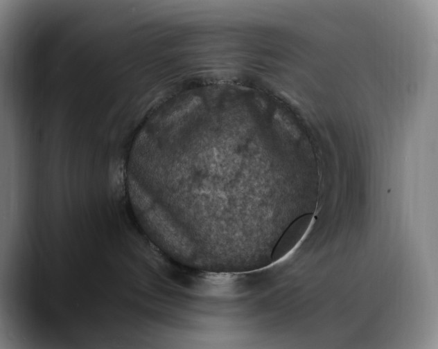 X0000088690144200706141419