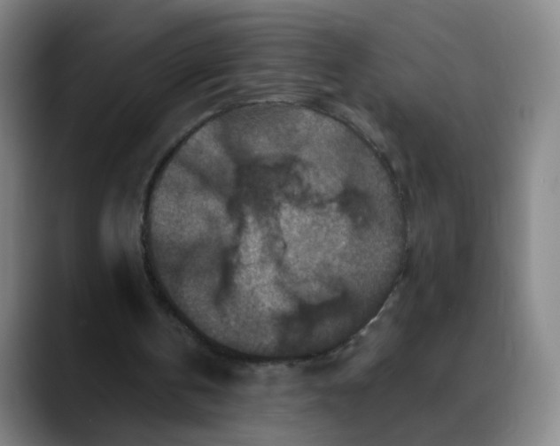 X0000088690146200706141418