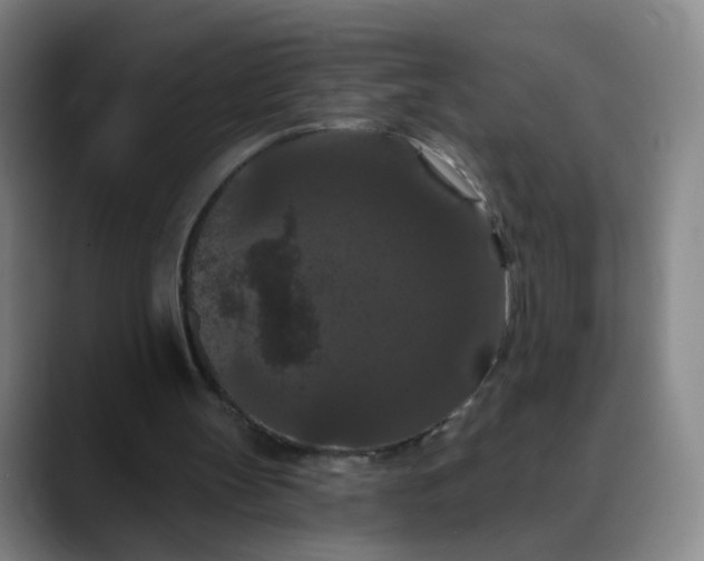 X0000088690147200706141418