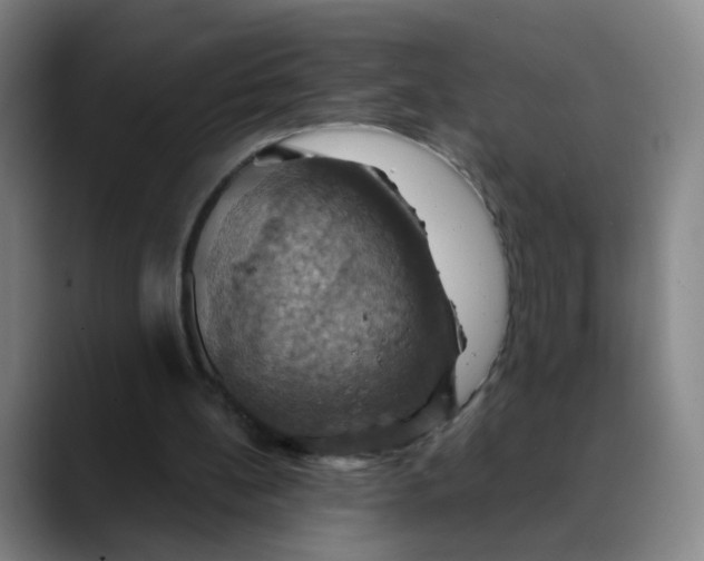 X0000088690148200706141418