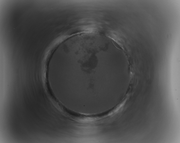 X0000088690149200706141418
