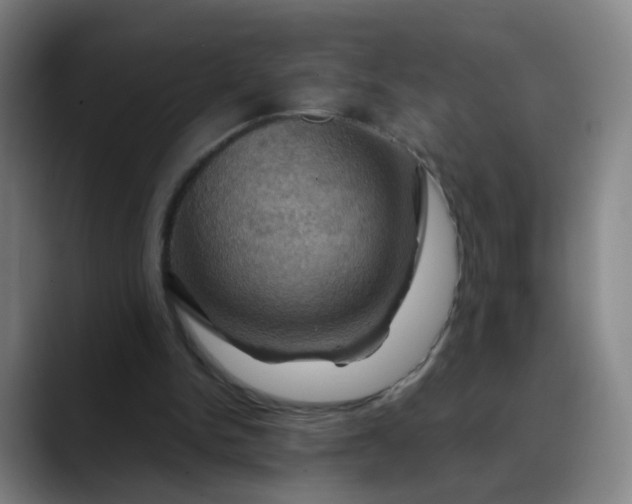 X0000088690150200706141418