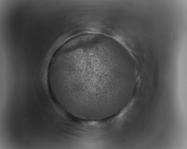 X0000088690151200706141418