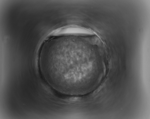 X0000088690152200706141418