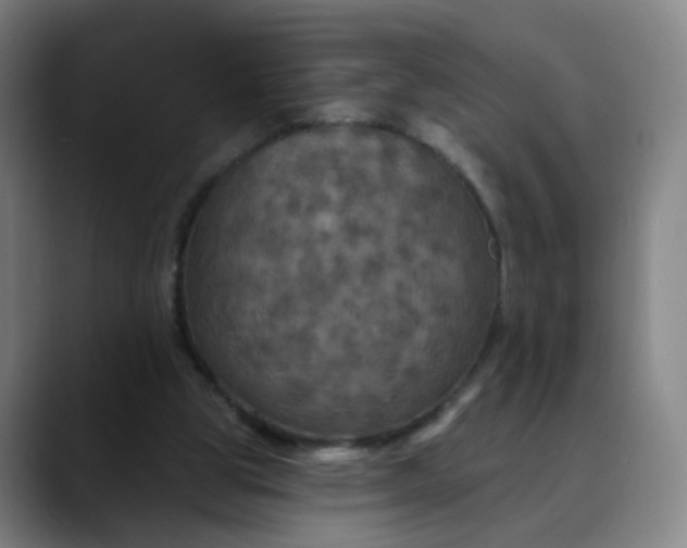 X0000088690153200706141418