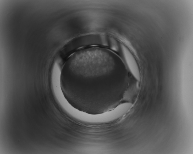 X0000088690154200706141418