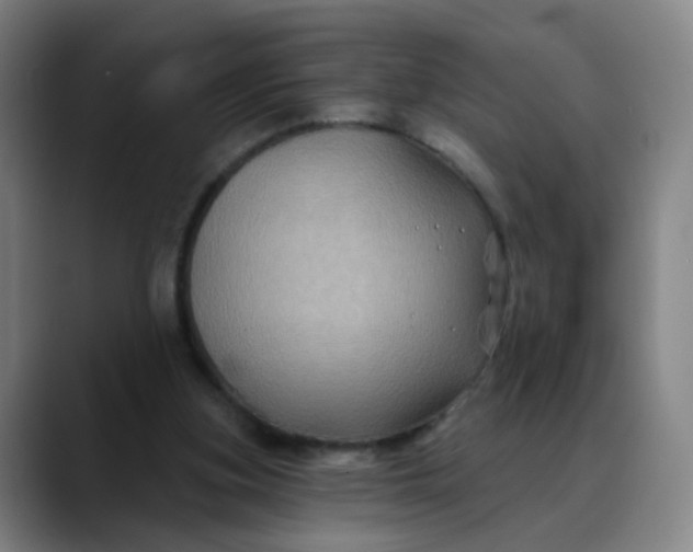 X0000088690155200706141418