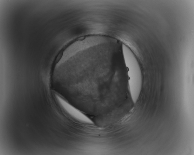 X0000088690156200706141418