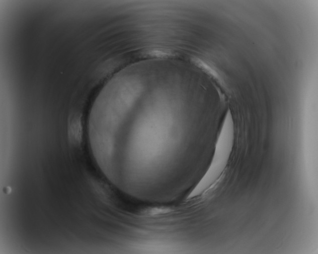 X0000088690158200706141418