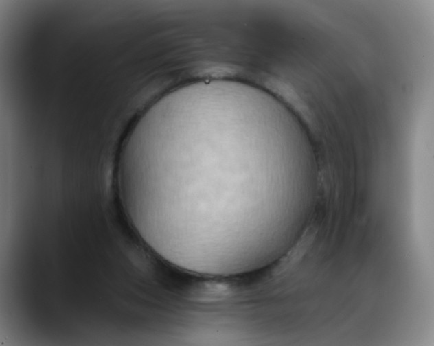 X0000088690159200706141418
