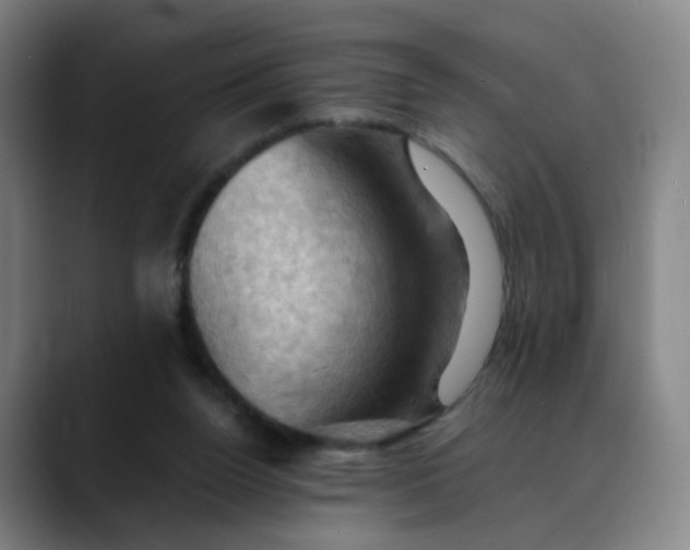 X0000088690160200706141418