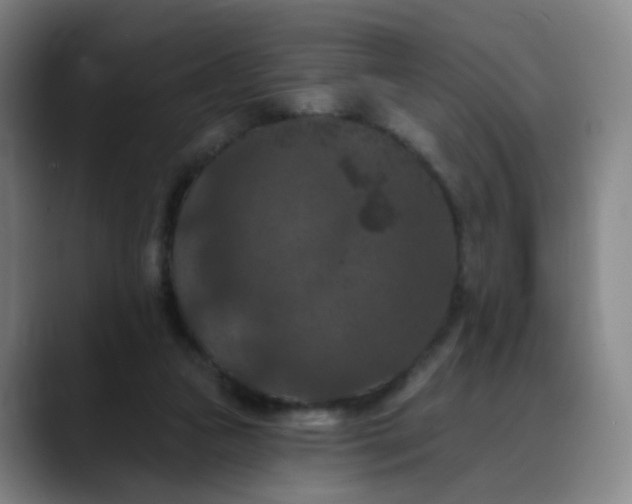 X0000088690161200706141418