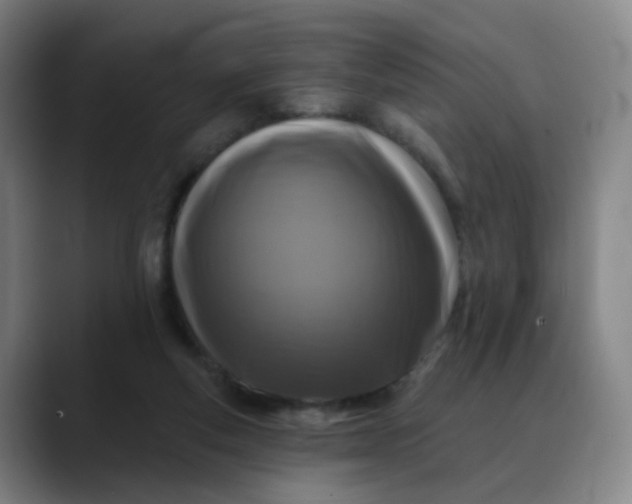X0000088690163200706141418